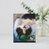 猫が寝床に寝ている ポストカード (スタンド正面)