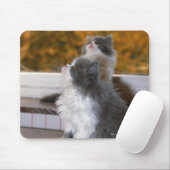 猫が座って見上げる マウスパッド (マウス)