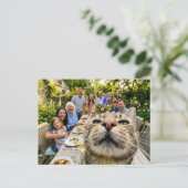 猫が庭での家族ディナー写真に突入 ポストカード (スタンド正面)