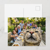 猫が庭での家族ディナー写真に突入 ポストカード (正面/裏面)