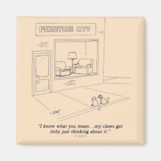 猫が引きつける家具 マグネット (正面)