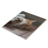猫が彼の背中に眠るセラミックタイル タイル (側面)