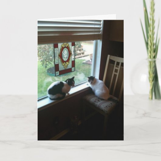 猫が待っている カード (正面)