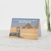 猫が支配する！ カード (裏面)