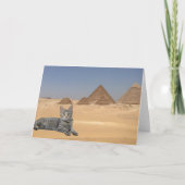 猫が支配する！ カード (正面)