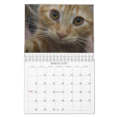 猫が救助2015のカレンダーで持って来たもの見て下さい カレンダー (3月 2027)