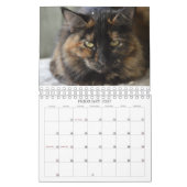 猫が救助2015のカレンダーで持って来たもの見て下さい カレンダー (2月 2027)