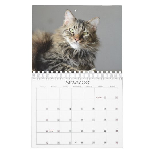 猫が救助2015のカレンダーで持って来たもの見て下さい カレンダー (1月 2027)