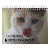 猫が救助2015のカレンダーで持って来たもの見て下さい カレンダー (カバー)