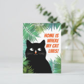 猫が暮らしている家で発表 ポストカード (スタンド正面)