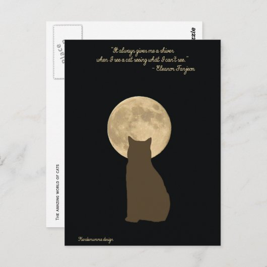 猫が月を見る不思議な世界 ポストカード (正面/裏面)