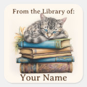 猫が本の上に寝そべっている蔵書票 スクエアシール (正面)