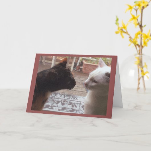 猫が来る カード (黄色い花)