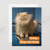 猫が格子の上に インビテーションポストカード (正面/裏面)