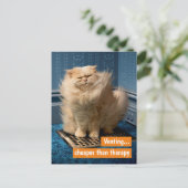 猫が格子の上に インビテーションポストカード (スタンド正面)