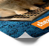 猫が格子の上に ポスター (角)