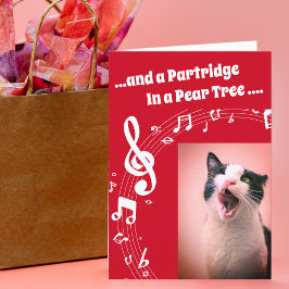 猫が歌うユーモアソング 赤いクリスマスカード シーズンカード