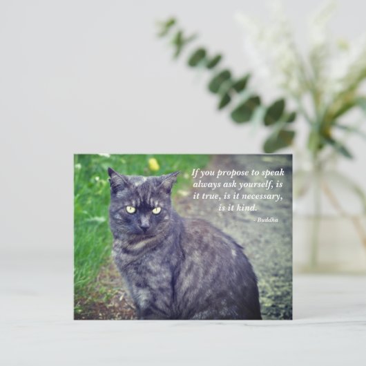 猫が歩いて仏やる気を起こさせる教引用文 ポストカード (スタンド正面)