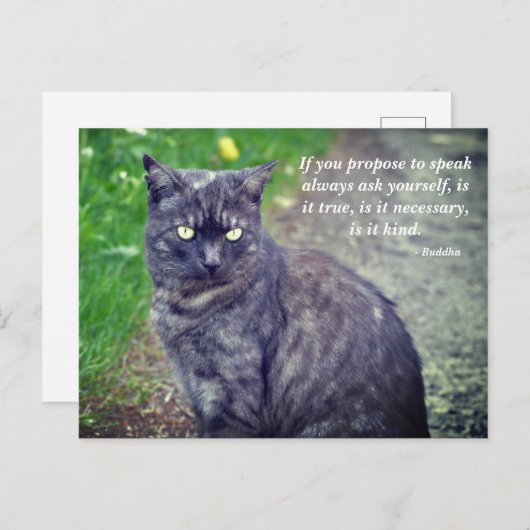 猫が歩いて仏やる気を起こさせる教引用文 ポストカード (正面/裏面)