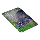 猫が歩いて仏やる気を起こさせる教引用文 マグネット (右側)