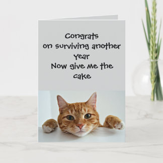 猫が気にかけるとき…ちょっとだけ – 楽しい誕生日 カード