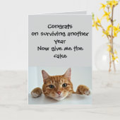 猫が気にかけるとき…ちょっとだけ – 楽しい誕生日 カード (黄色い花)