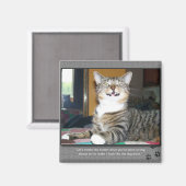 猫が犬を責める マグネット (正面/裏面)