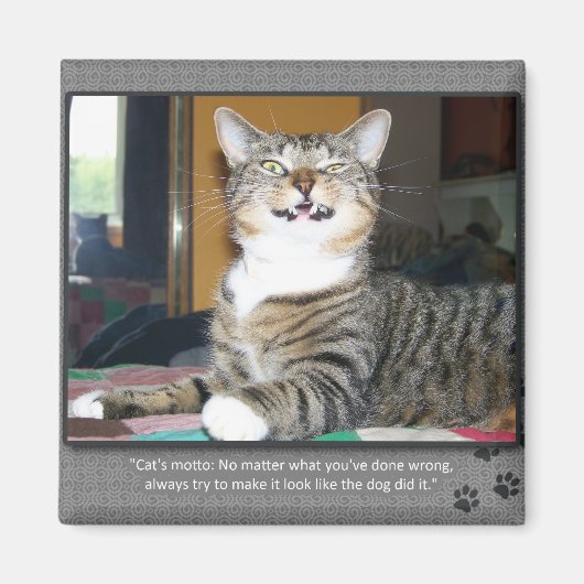 猫が犬を責める マグネット (正面)