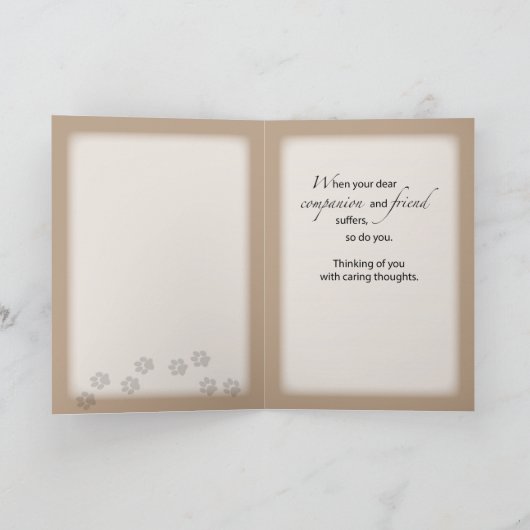 猫が病気で犬が外を見ているのを聞いてごめんなさい カード (内部)