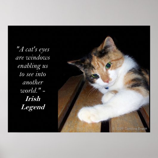 猫が目を開けて世界へ ポスター (正面)