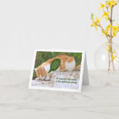 猫が眠り食べ込む カード (黄色い花)