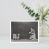 猫が着る服やボーリングヴィンテージの匂い ポストカード (スタンド正面)