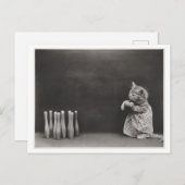 猫が着る服やボーリングヴィンテージの匂い ポストカード (正面/裏面)