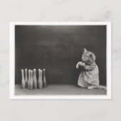 猫が着る服やボーリングヴィンテージの匂い ポストカード (正面)