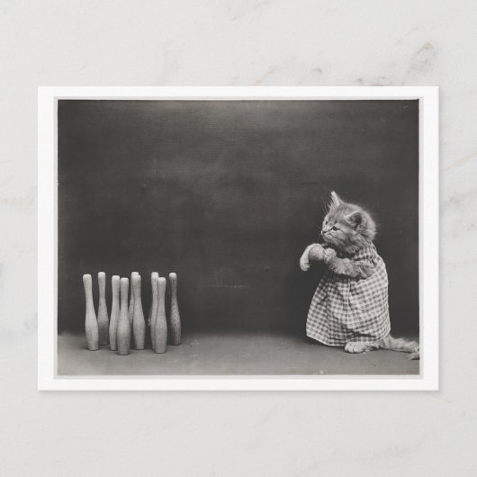 猫が着る服やボーリングヴィンテージの匂い ポストカード (正面)