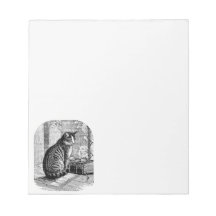 猫が窓辺に座って本を