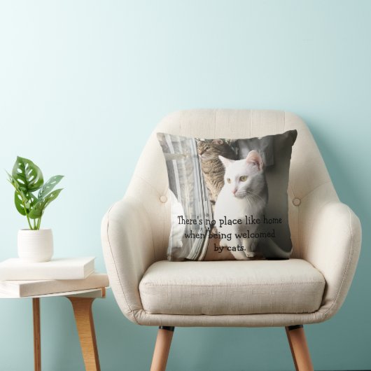 猫が窓辺に座る クッション (椅子)