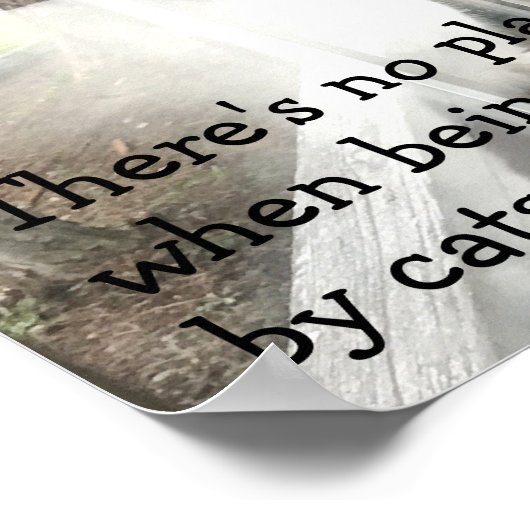 猫が窓辺に座る ポスター (角)