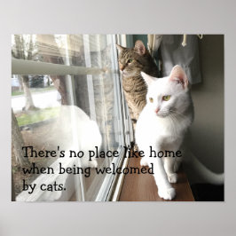 猫が窓辺に座る ポスター