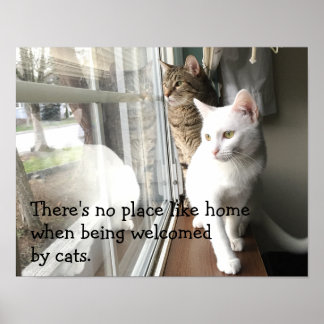猫が窓辺に座る ポスター