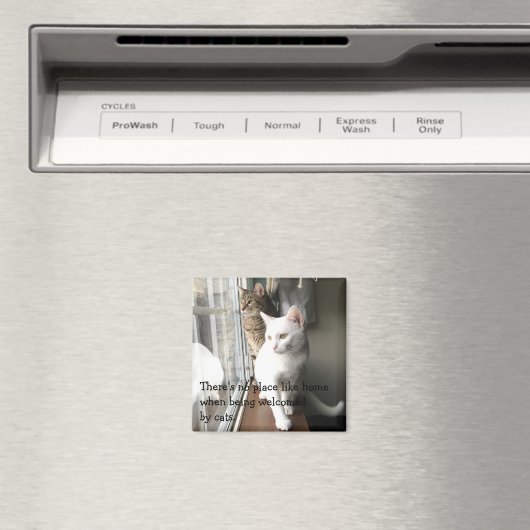 猫が窓辺に座る マグネット (インサイチュ (食洗機))