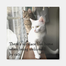 猫が窓辺に座る