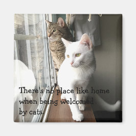 猫が窓辺に座る マグネット