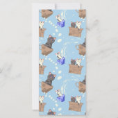 猫が箱に入りミルクが青く滴る (裏面)