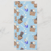 猫が箱に入りミルクが青く滴る (正面/裏面)