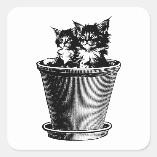 猫が花ポット動物のペットの芸術で子猫 スクエアシール (正面)