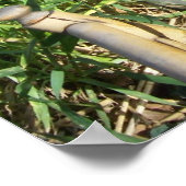 猫が草の中に座るプリント ポスター (角)