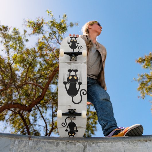 猫が落ちるおもしろい スケートボード (室外1)