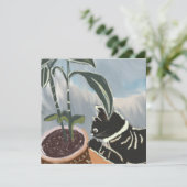 猫が観葉植物を見守る カード (スタンド正面)