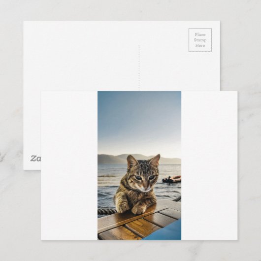猫が言う ポストカード (正面/裏面)
